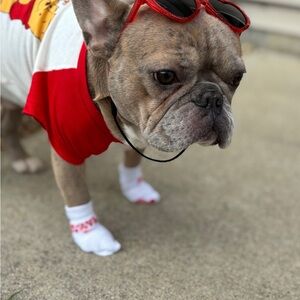 Winnie the Pooh Friendship T-Shirt New without tags used only one time for ph